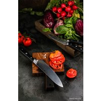 Набор ножей Polaris Stein-4BSS