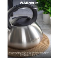 Чайник со свистком Attribute Duet ASD004