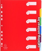 Разделитель документов Exacompta Maxi 4806E (ассорти)