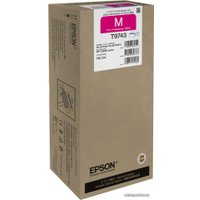 Чернила Epson C13T974300