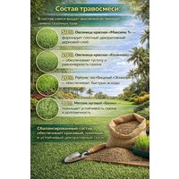 Семена DLF Ornamental PC-1 Дания (10 кг)