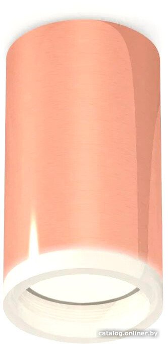 Точечный светильник Ambrella light Techno spot XS6326020 PPG/FR