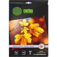 Фотобумага CACTUS Шелковисто-матовая A4 280 г/м2 20 листов [CS-SMA428020]