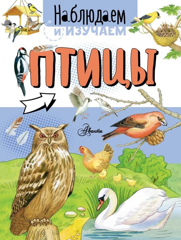 

Книга издательства АСТ. Птицы (Ткачева Алиса Андреевна)
