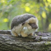 Классическая игрушка Hansa Сreation Ежик 3101 (20 см)