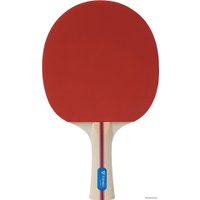 Ракетка для настольного тенниса TORNEO Hobby TI-B200