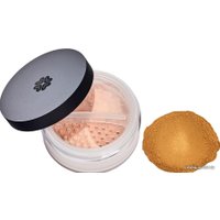 Рассыпчатая пудра Lily Lolo Mineral Foundation SPF15 (тон Cinnamon) 10 г