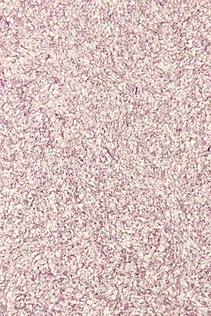 

Жидкие обои Bioplast 8673