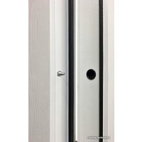 Металлическая дверь Silent Comfort 2XL