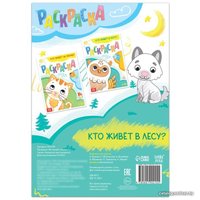 Мозаика/пазл Puzzle Time Жители леса 3 в 1 7810202