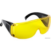 Очки FIT 12220