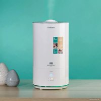 Увлажнитель воздуха Timberk Waterfall A21E