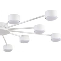 Припотолочная люстра Lumion Torina 8343/12C