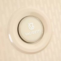 Чемодан-спиннер VALIGETTI 344-2201/3-24COF (кофе)