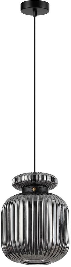

Подвесная люстра Odeon Light Jugi 5042/1B