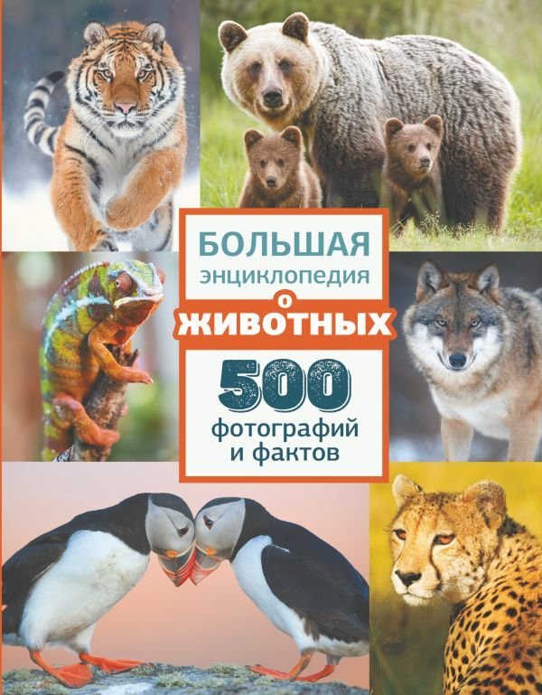

АСТ. Большая энциклопедия о животных. 500 фотографий и фактов