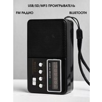 Радиоприемник Wster WS-2319 (черный)