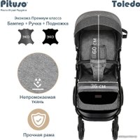 Коляска прогулочная «книга» Pituso Toledo EVA (серый/металлик)