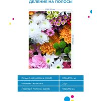 Фотообои ФабрикаФресок Цветочная Оранжерея 1012270 (200x270)