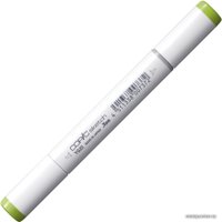 Маркер художественный Copic Sketch YG-25 21075201 (зеленый цвет селадона)