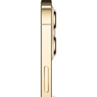 Телефон Apple iPhone 12 Pro Max 512GB (золотой)