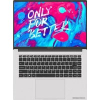 Ноутбук Maibenben P615 P6152SA0LSRE0