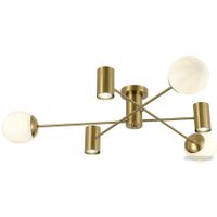 Припотолочная люстра Evoluce SLE1105-302-06