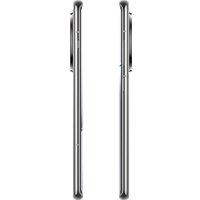 Телефон OnePlus Ace 3 Pro 16GB/256GB китайская версия (серебристый титан)