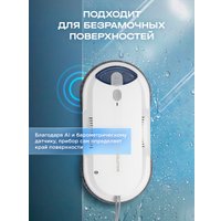 Робот для мытья окон Evolution WClean FL3285DS Smart