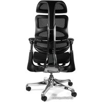 Офисное кресло UNIQUE Ergothrone CM-B37A (черный)