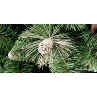 Сосна GreenTerra Сибирская с шишками, серебро 1.8 м