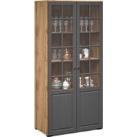 Шкаф-витрина Империал Лацио Сканди 2д (вотан/сканди графит/ручка черная)