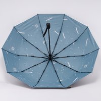 Зонт Rain Berry 734-23335.1 (черный/голубой)