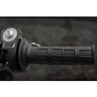 Мотоцикл BSE Z1 B0Z1EB035GRH2 (Dragon Black)