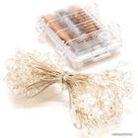 Светодиодная гирлянда Чудесный Сад GRG-F550 Цветы (5м)