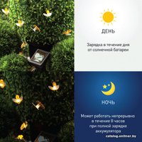 Разветвитель для светодиодных гирлянд ЭРА ERAPS-K800