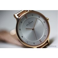 Наручные часы Skagen SKW2151