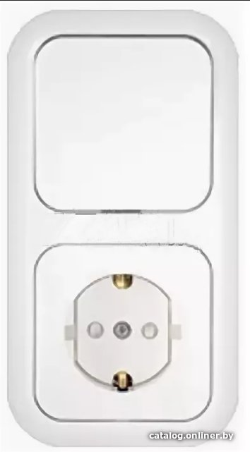 Выключатель Bylectrica В-РЦ-553