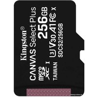 Карта памяти Kingston Canvas Select Plus microSDXC 256GB