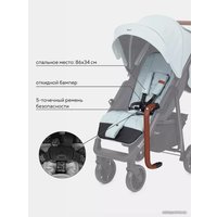 Коляска прогулочная «книга» Rant Vega 2023 RA057 (blue)