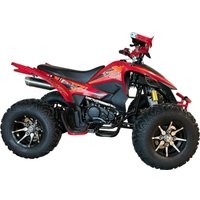Квадроцикл Yacota Typhoon 250 LD (красный) в Могилеве
