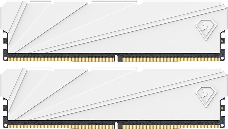 

Оперативная память Netac Shadow S 2x8ГБ DDR4 3200 МГц NTSSD4P32DP-16W