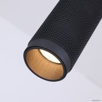 Подвесная люстра Favourite Kinescope 2452-1P