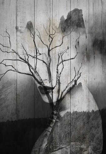 Картина White Wood B112-V-120-180-6.54