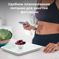 Кухонные весы AENO KS1S