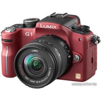 Беззеркальный фотоаппарат Panasonic Lumix DMC-G1