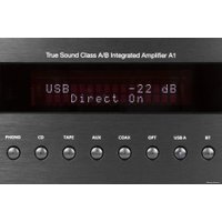 Интегральный усилитель Premiera A1