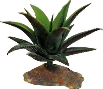Искусственное растение Lucky Reptile Succulent IF-90