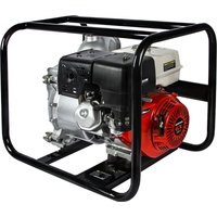 Мотопомпа DDE PTR100H