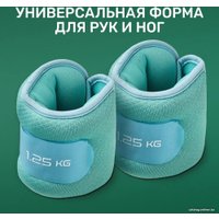 Комплект утяжелителей Starfit WT-503 (1.25 кг, мятный/синий/пастель)